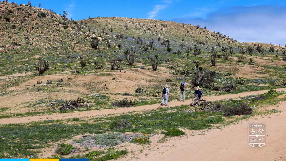 Se reconoció a distintos actores por su aporte al desarrollo del turismo local, destacando su compromiso, trayectoria y contribución a la promoción y puesta en valor de Chañaral.